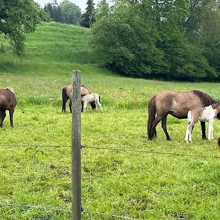 Remise Deggenhausertal