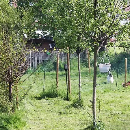 Apartamento Remise *