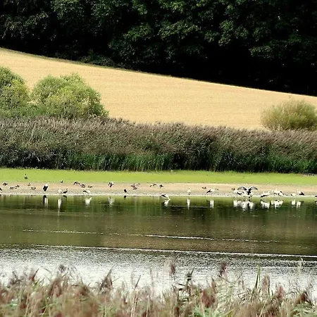 Remise Apartamento *